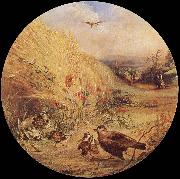 William Dexter Wheatfield with bird-s nest oil painting on canvas